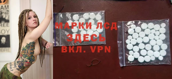 спиды Вяземский