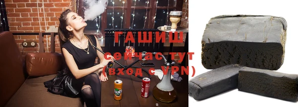 спиды Вяземский