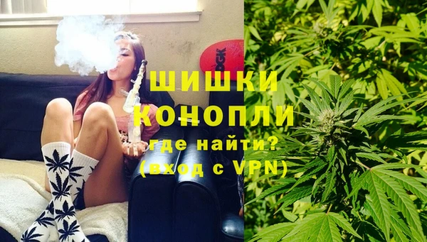 спиды Вяземский