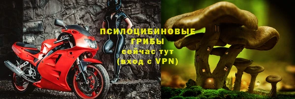 эйфоретик Вязники