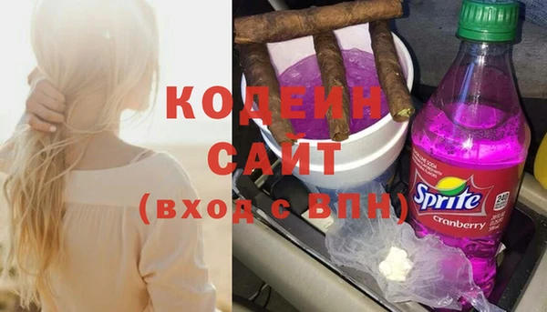 спиды Вяземский