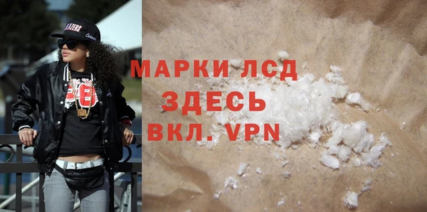 спиды Вяземский