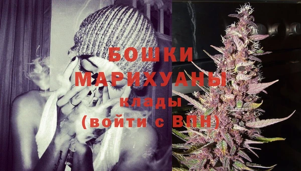 спиды Вяземский