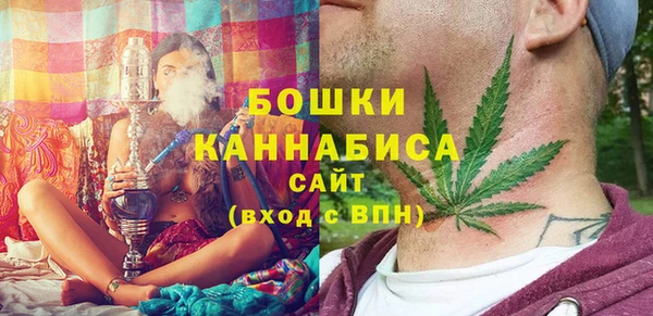 спиды Вяземский