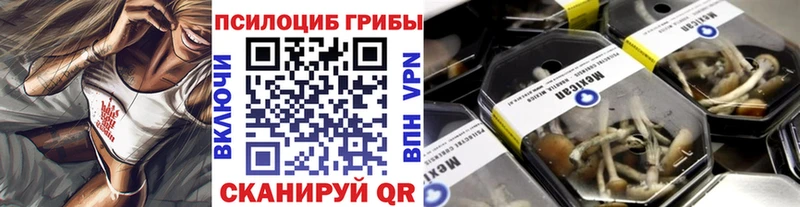 Галлюциногенные грибы Cubensis  Купить где  Новоаннинский 